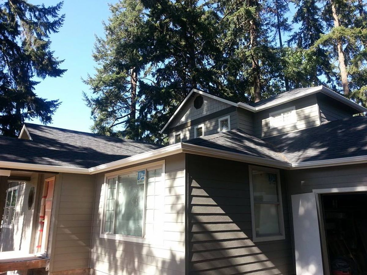 Modern house exterior with new roofing, surrounded by tall pine trees and clear blue sky.